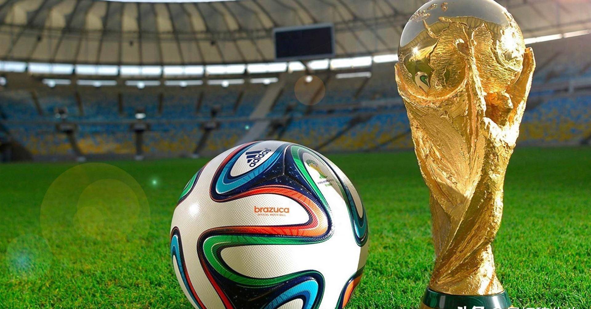 尽管沙特在 尽管沙特在