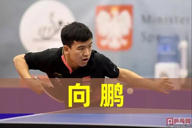 草皮质量的 草皮质量的